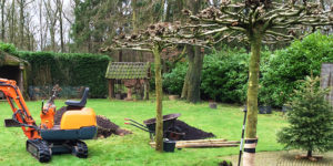 Bomen planten verplanten
