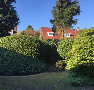 Groenverzorging Hagen snoeien